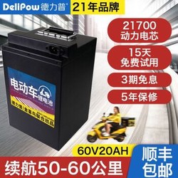 德力普（Delipow）电动车锂电池 60V20Ah配5A充电器