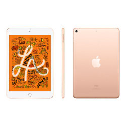 Apple 苹果 iPad mini 5 2019款 7.9英寸 平板电脑 256GB WLAN