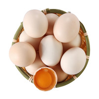 陈小四水果 新鲜农家鸡蛋 10枚