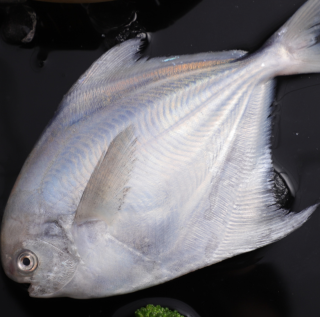 商品红康德 银鲳鱼 净重2000g