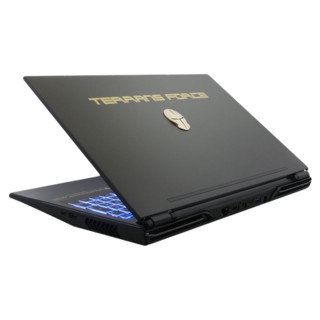 TERRANS FORCE 未来人类 X51 15.6英寸 笔记本电脑(黑色、酷睿 i7-10875H、16GB、1TB SSD、RTX2070)