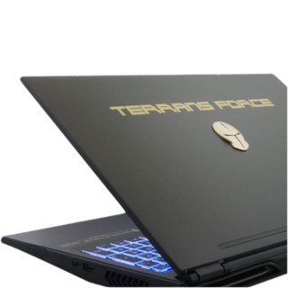 TERRANS FORCE 未来人类 X51 15.6英寸 笔记本电脑(黑色、酷睿 i7-10875H、16GB、1TB SSD、RTX2070)