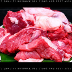 新鲜牛肉筋巴脑 黄牛肉现杀 4斤
