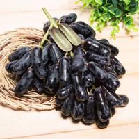 进口金手指葡萄黑提新鲜进口黑加仑葡萄新鲜水果当季美人指提子 超值2斤装