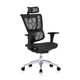 Ergonor  保友办公家具 人体工学电脑椅 黑色（仿生网） 高配版