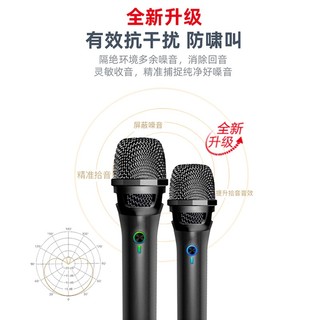 天籁K歌 MM-5D Pro 无线麦克风