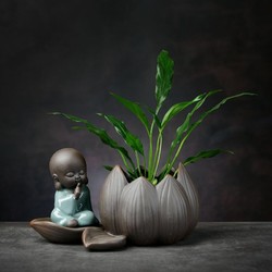 燚窑  绿萝水培植物花瓶  坐莲-轻语小僧