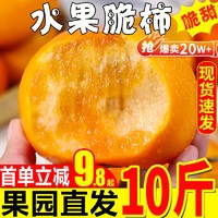 脆柿子水果新鲜5斤当季整箱包邮应季现摘大果甜柿火晶黄硬柿子10