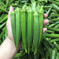 促销活动:京东生鲜 牛羊猪肉好价汇总