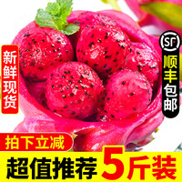 越南红心火龙果5斤新鲜水果当季大果整箱批发应季红肉10顺丰包邮