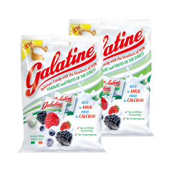 Galatine/佳乐锭 儿童酸奶浆果味牛奶片 100g*2包