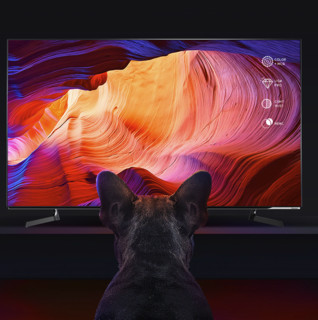 Hisense 海信 55A8F OLED电视 55英寸 4K