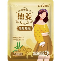 丽悦 热姜 热敷暖贴 10片