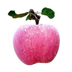陕西红富士苹果水果新鲜当季现摘脆甜一级精品整箱10斤顺丰包邮