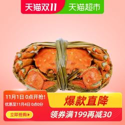 清水大闸蟹公3.5两母2.5两共6只鲜活螃蟹现货水产福岁乐天猫超市 *2件