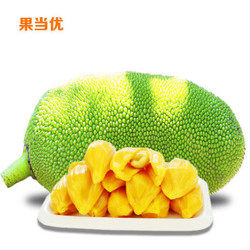 约巢海南菠萝蜜新鲜水果 5-7斤 次果 基本没肉 不推进