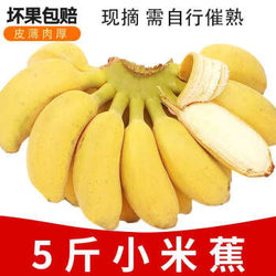广西香甜小米蕉9斤/5斤/3/1斤小鸡蕉/芭蕉/小香蕉/当季新鲜水果皇帝蕉 小米蕉五