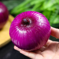 约巢10斤紫皮洋葱 新鲜蔬菜 紫皮洋葱3斤精品中果