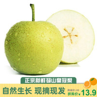 砀宁果品（DANGNINGGUOPIN）当天采摘发货正宗百年砀山酥梨皇冠梨绿宝石5斤