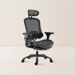 YANXUAN 网易严选 多功能人体工学电脑椅 升级款 黑色