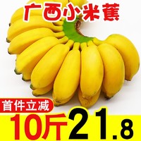 广西小米蕉当季水果新鲜10斤自然熟banana整箱苹果香蕉芭蕉包邮十