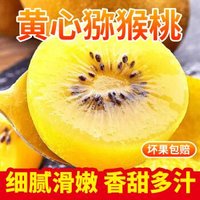 四川蒲江黄心猕猴桃30粒装 单果50-70g