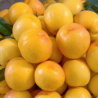 约巢正宗黄油桃子水果新鲜脆桃应季水果现摘现发纯甜水果整箱 五斤精品大果