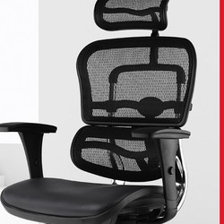Ergonor 保友办公家具 人体工学电脑椅 黑色（座皮背网）
