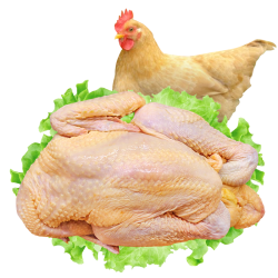 三黄鸡肉 新鲜冷冻 2只装