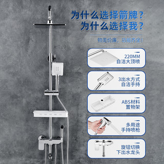 箭牌（ARROW）淋浴花洒套升级自洁四功能带置物架AE3445S