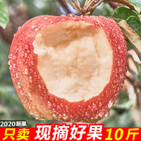 当季现摘红富士苹果水果新鲜整箱10斤带箱5斤脆甜大沙河丑苹果
