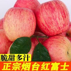 桔缘山东烟台栖霞红富士苹果新鲜脆甜多汁5斤冰糖心苹果新鲜水果果径