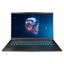 火影 T7 曜黑版 17.3英寸笔记本电脑（i7-10750H、16GB、512GB、RTX2060）