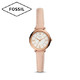 FOSSIL 化石 ES4411 石英女表