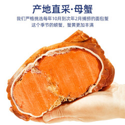  鲜味时刻 面包蟹熟冻螃蟹 1600-1200g共2只