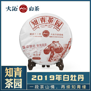 大沁白茶知青茶园2019白牡丹茶饼高山福建茶叶明前福鼎白茶饼300g