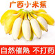 京东PLUS会员：（鲜品集）广西小米蕉当季新鲜水果香蕉皇帝焦坏果包赔 1斤 *5件