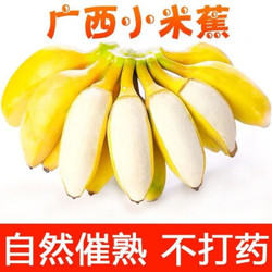 （鲜品集）广西小米蕉当季新鲜水果香蕉皇帝焦坏果包赔 1斤 *5件