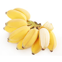 广西香蕉 小米蕉2.5斤 （偶数发货 拍4件减9元合并发9斤）