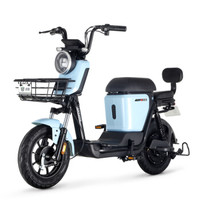绿源超长续航锂电池电动车新国标电动自行车   ZFA 蜜豆 晴空蓝（锂电48V24Ah）