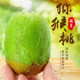 陕西绿心猕猴桃翠香应季水果孕妇水果新鲜直发奇异果 5斤(70-90g)单果