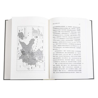 《理想国译丛038：第三帝国的到来》
