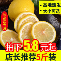 四川安岳黄柠檬带箱5斤装新鲜水果10皮薄多汁二三级包邮非青宁檬