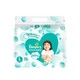 百亿补贴：Pampers 帮宝适 清新帮系列 通用纸尿裤 L 36片