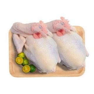 京东PLUS会员：潭牛 140天海南文昌鸡整鸡2只装 共2kg