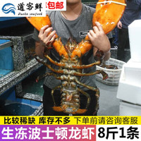 京东PLUS会员：顺丰 生冻加拿大波士顿龙虾水产鲜活新鲜特大龙虾面包8斤 4000g 40-50cm
