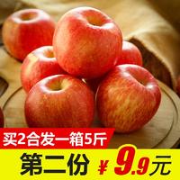 甘肃庆阳红富士苹果6枚水果新鲜当季新鲜多汁脆甜精选大平果包邮 *2件