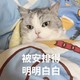  拒绝猫超卡套娃，无套路下单20元内包邮好物　