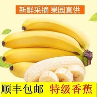广西高山大香蕉5斤一级果新鲜水果孕妇水果