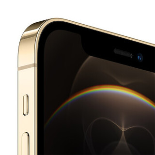 Apple 苹果 iPhone 12 Pro系列 A2408国行版 手机 512GB 金色